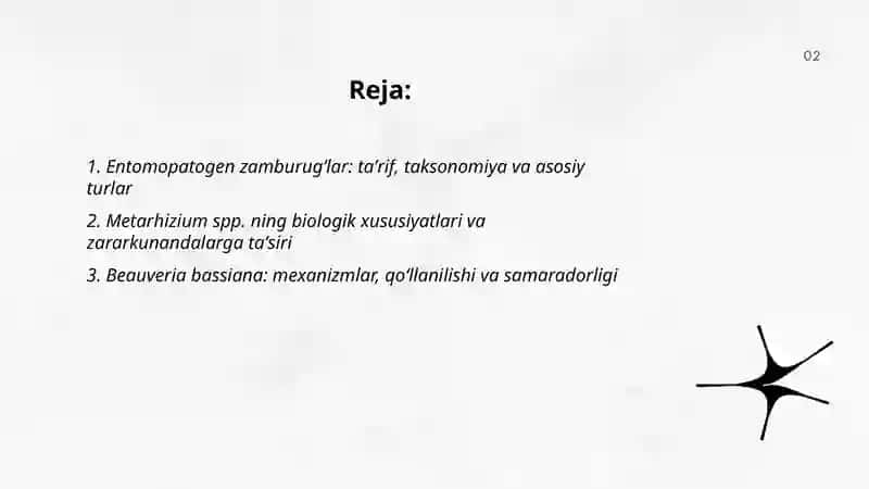 Entomopatogen zamburugʻlar: taʼrif, taksonomiya va asosiy turlar 2