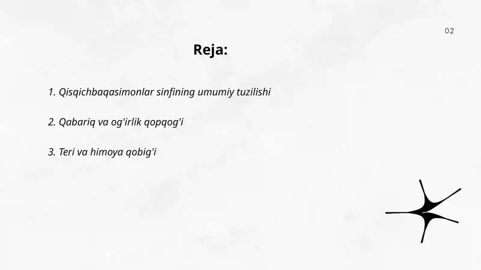 Qisqichbaqasimonlar sinfiga mansub hayvonlarning tuzilishi 2