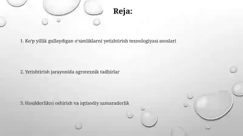 Ko‘p yillik gulli o‘simliklarni yetishtirish texnologiyasi 2