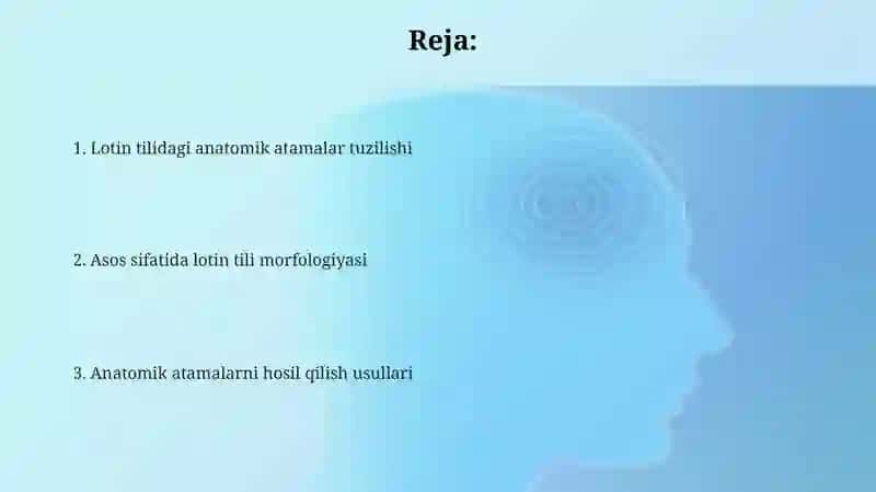 Lotin tilida anatomik termin tuzilishi 2