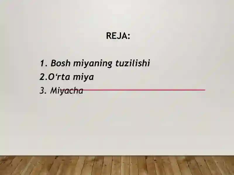 Bosh miya yarim sharlari poʻstlogʻi fiziologiyasi 2