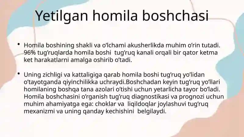 Homila tug'ruq obyekti sifatida" 2