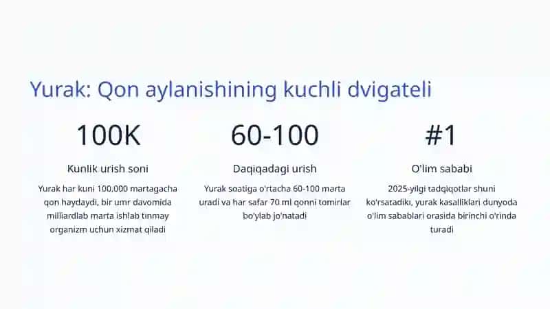 Yurak-qon tomir tizimi 2