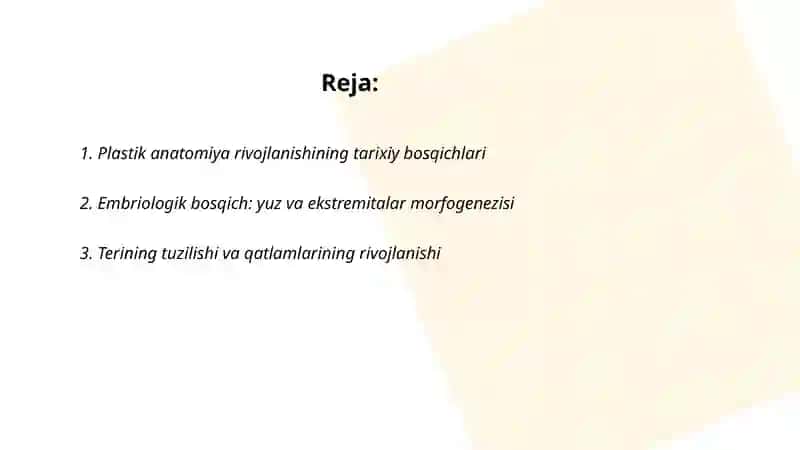 Plastik anatomiya rivojlanishining asosiy bosqichlari 2