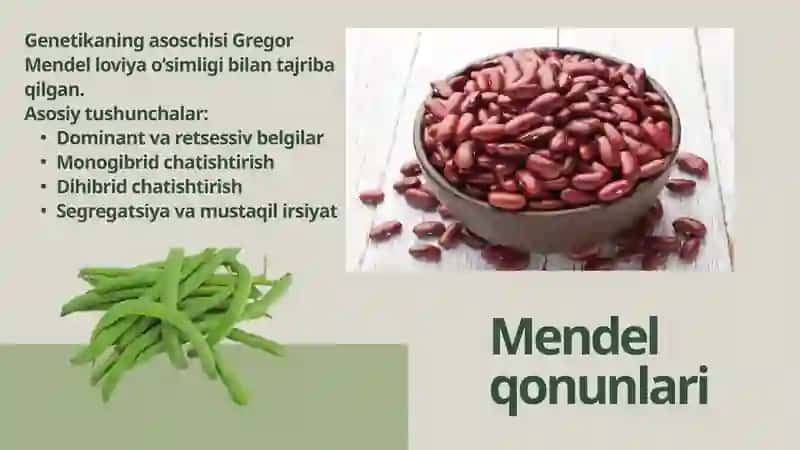O'simlik Generatsiyasi 2