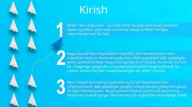 Neyronlarda Nerv Impulslarini Hosil Bo'Lishi Mexanizmlari 2
