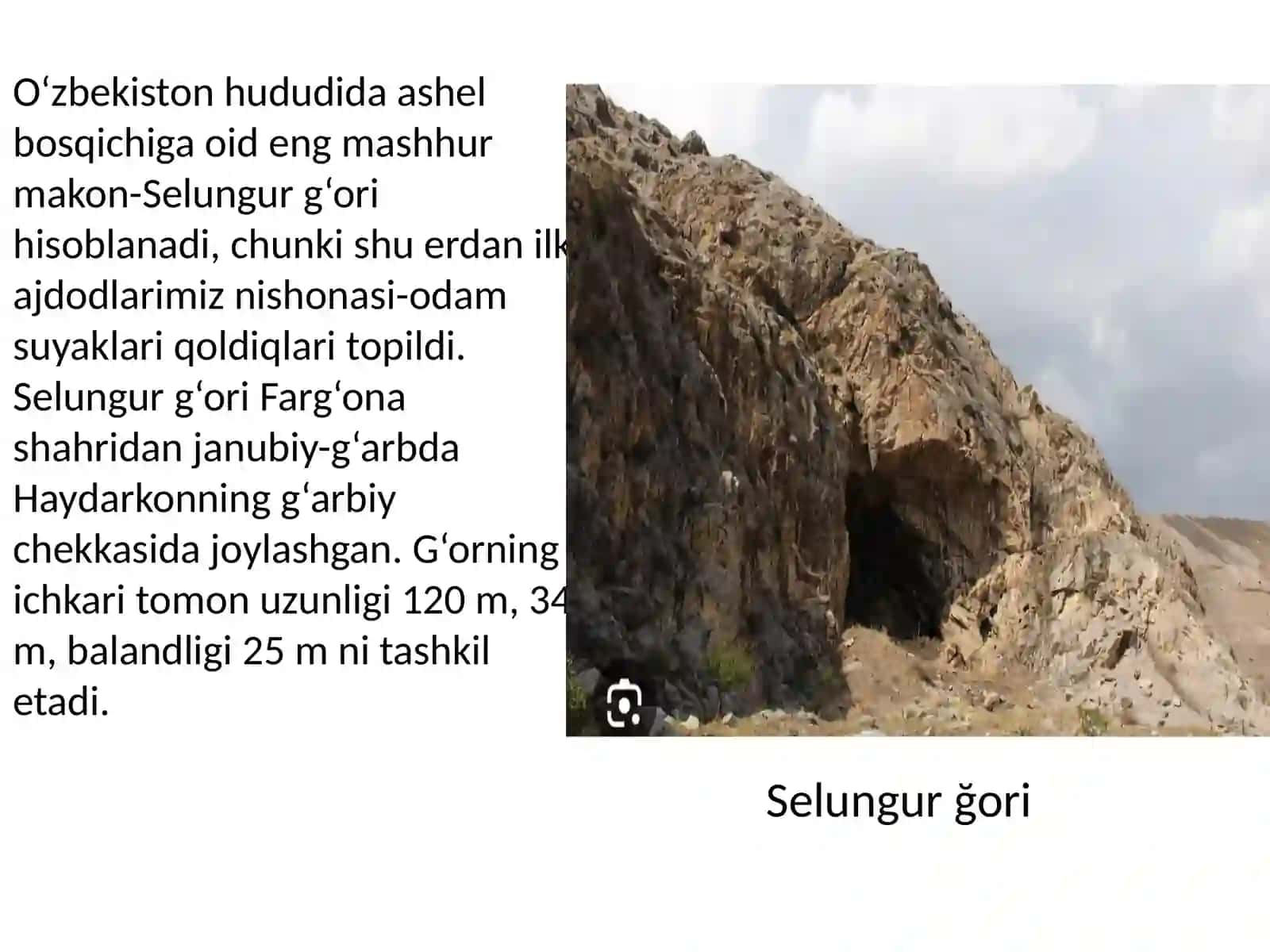 Selungurğori 2