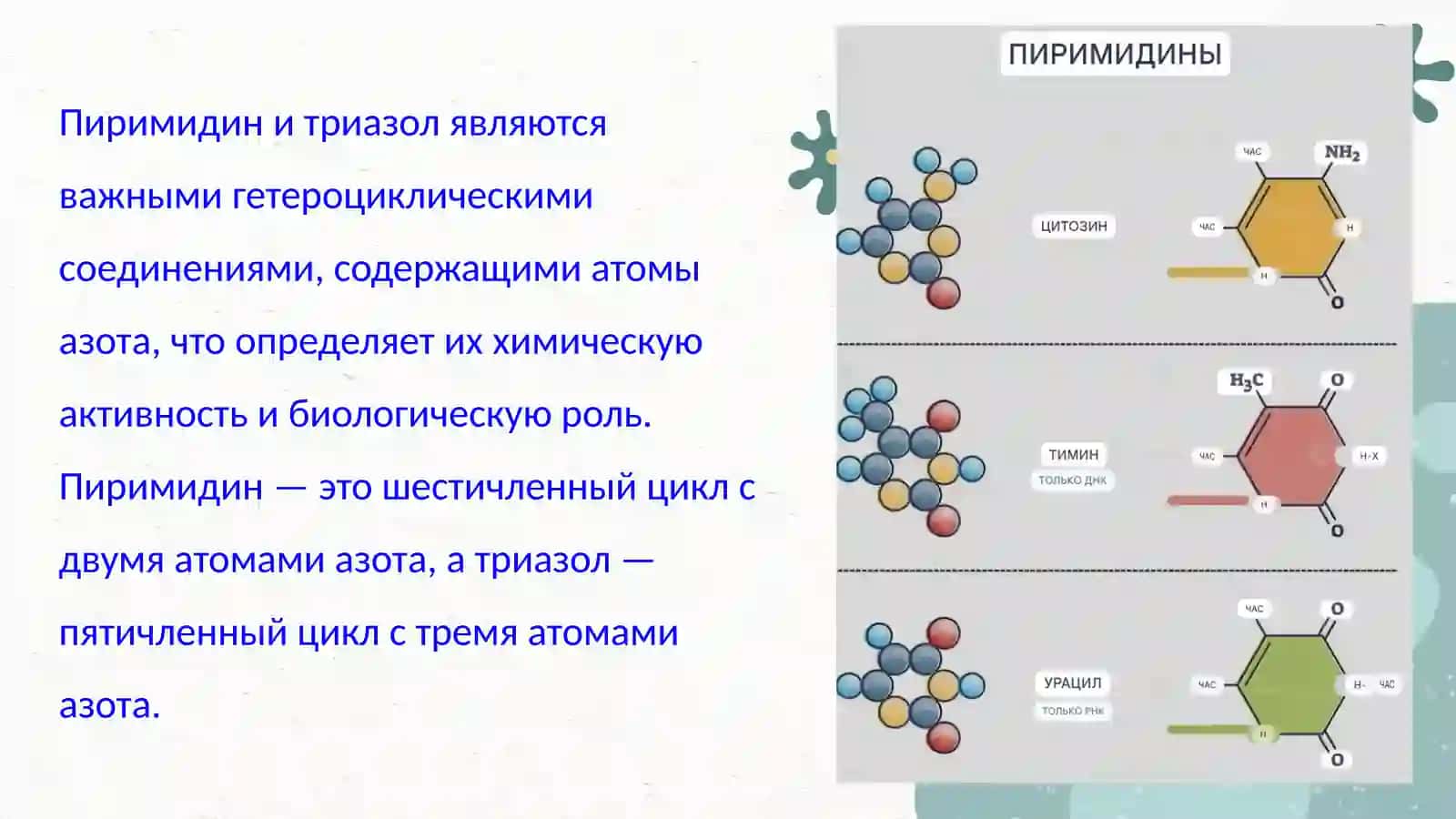 Анализ производных пиримидина и триазола. Современные методы анализа витамина B1 (тиамина) 2
