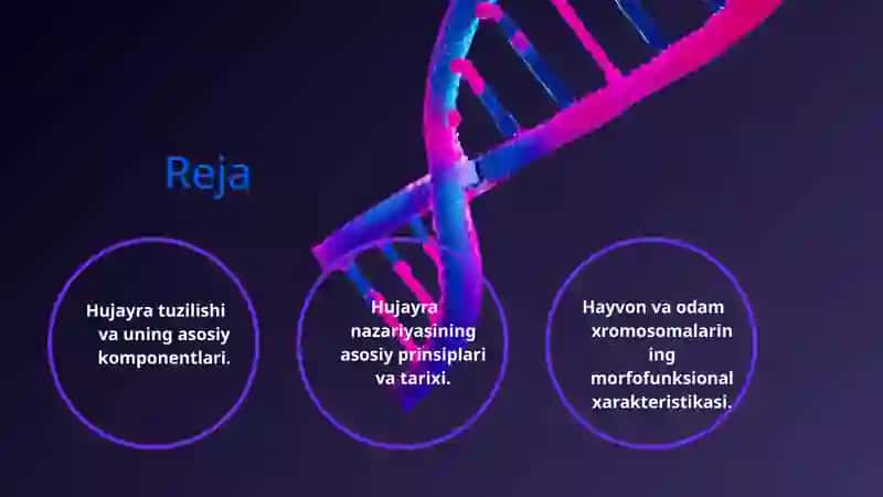 Hujayra tuzilishi.Hujayra nazariyasi.Hayvon va odam xromosomalarining morfofunksional xarakteristikasi. 2