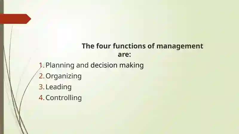 The Role of Management in Business 2