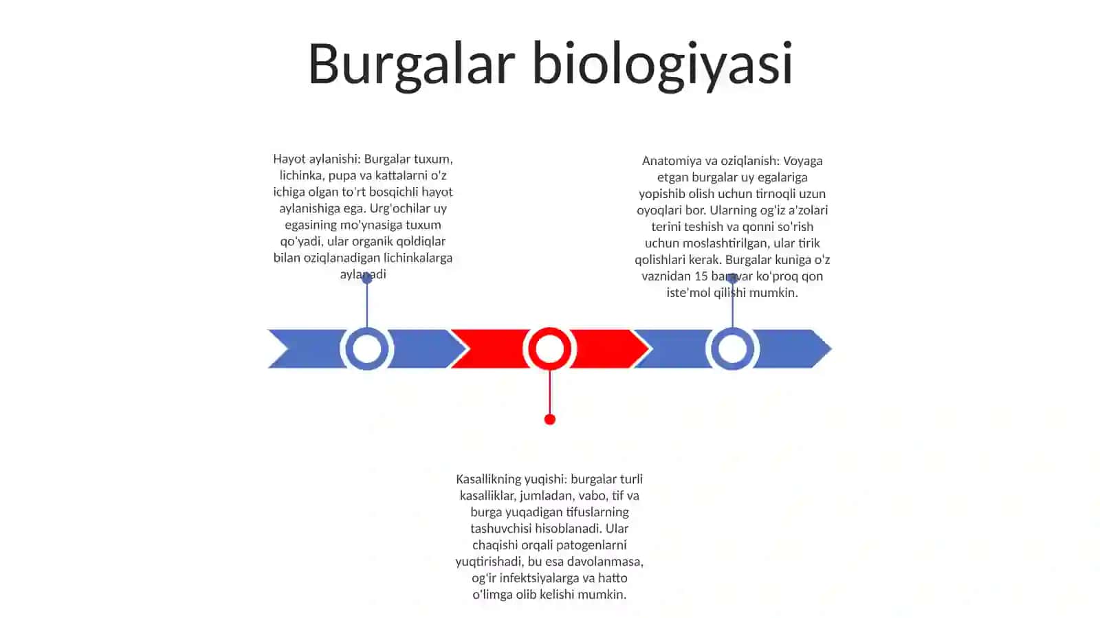 Burgalar biologiyasi 2