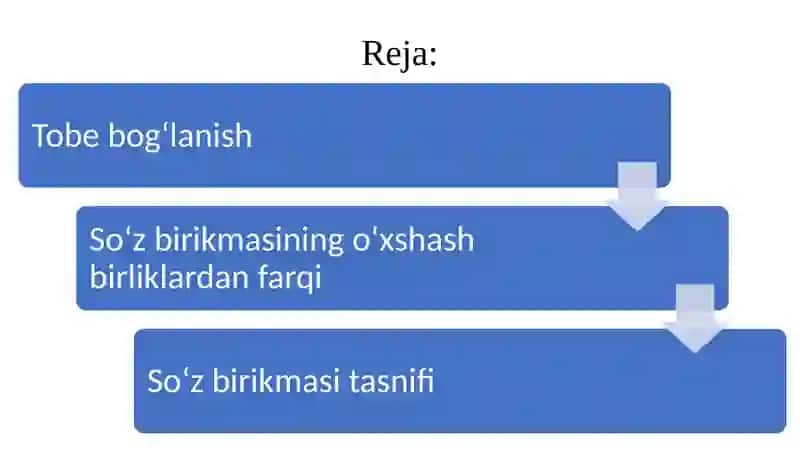 Soʻz birikmalari va gaplar nutqiy sintaktik birliklar sifatida 2
