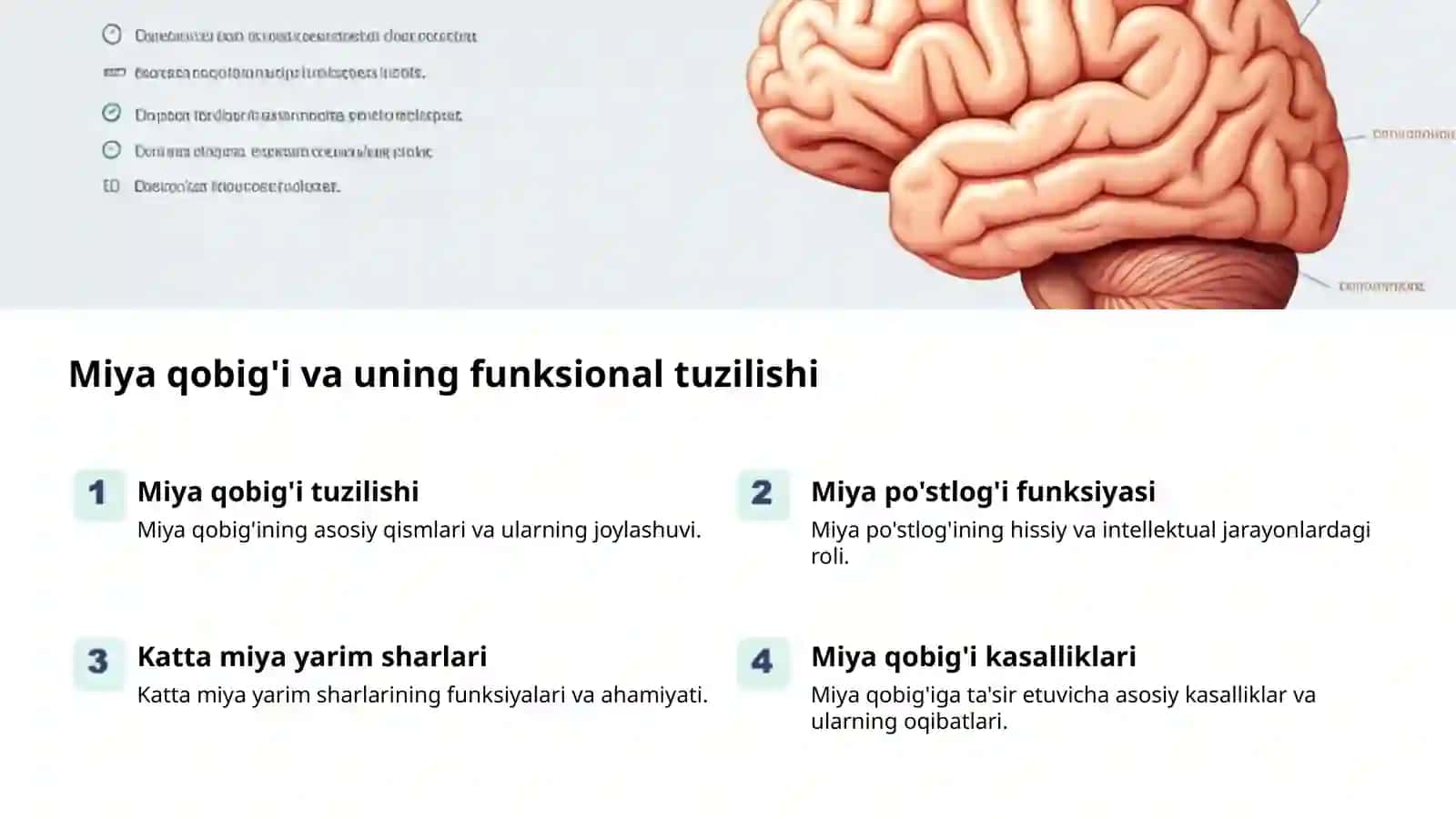Oliy Nerv Faoliyati: Asosiy Tushunchalar 2