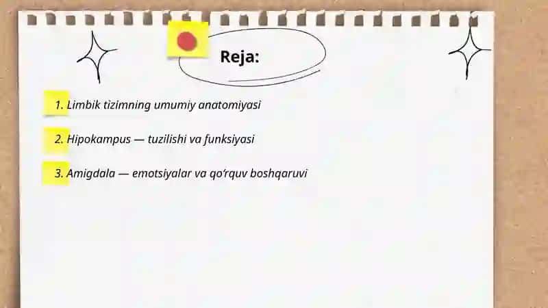 Anatomiya fanidan mustaqil ish 2