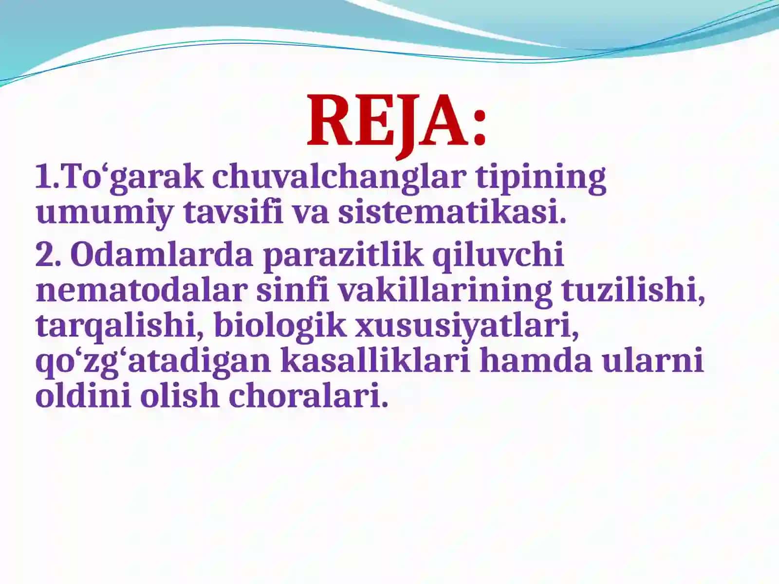 To‘garak chuvalchanglartipining umumiy tavsifi va sistematikasi 2