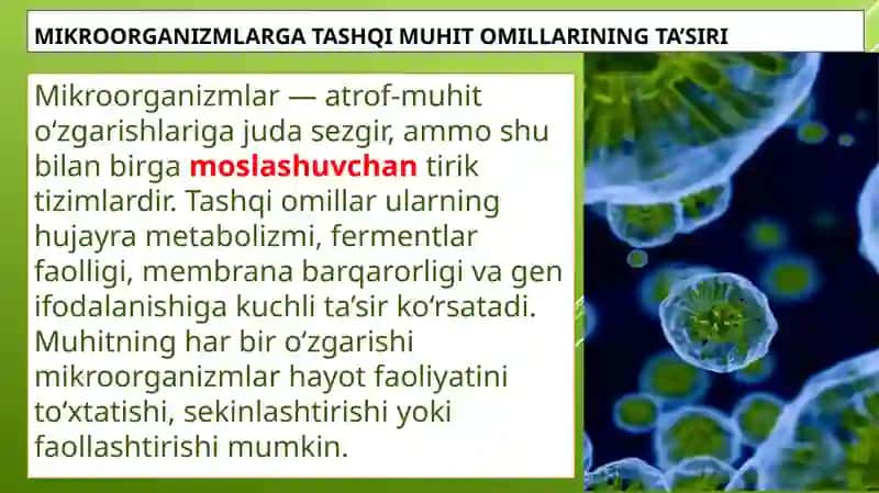 Mikroorganizmlarga tashqi muhit omillarining ta’siri 2