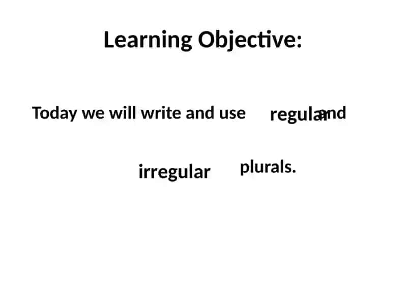 Regular and Irregular Plurals 2