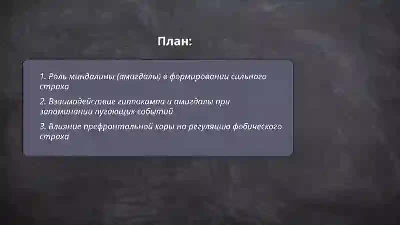 Роль миндалины (амигдалы) в формировании сильного страха 2
