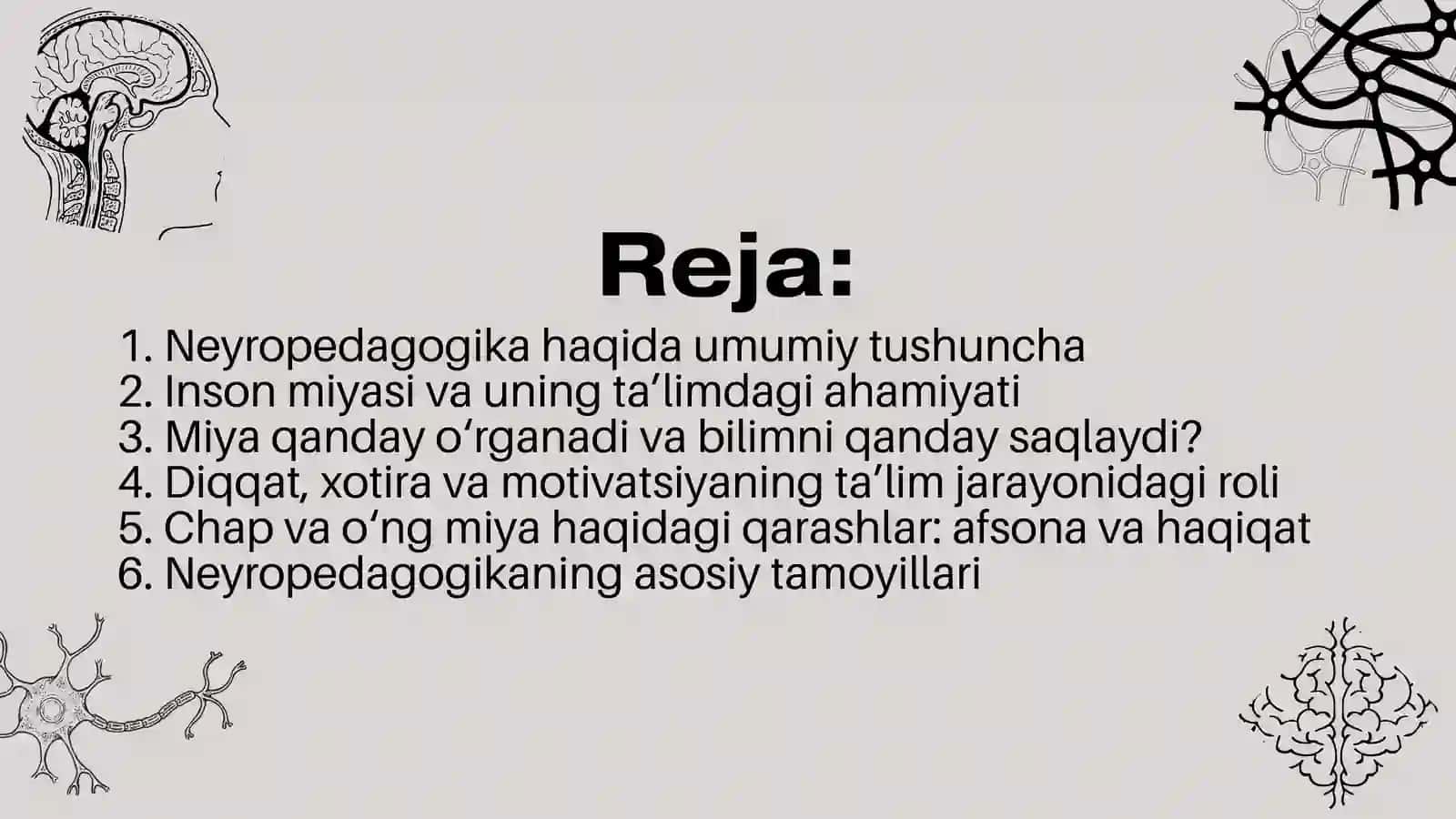 Neyropedagogika: miya va ta'lim 2