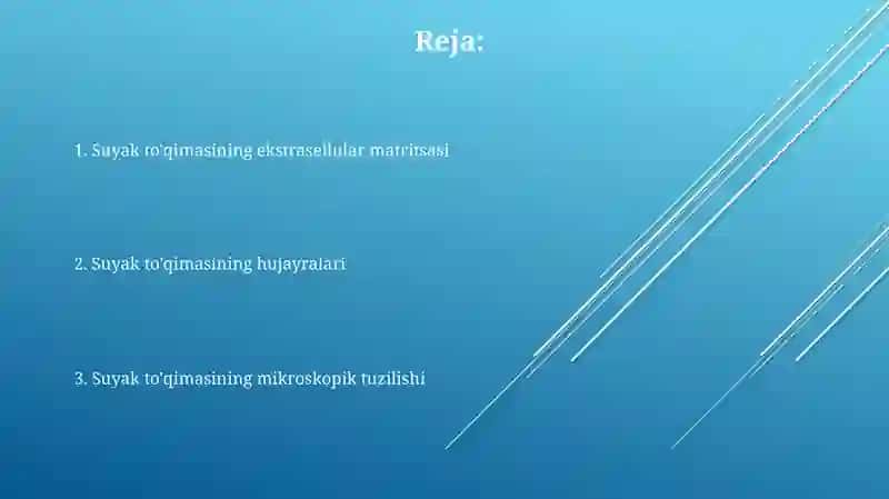 Suyak toʻqimasining gisto tuzilishi 2