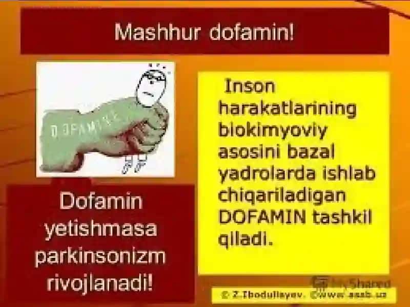 Dofaminva dofaminergik vositalar 2