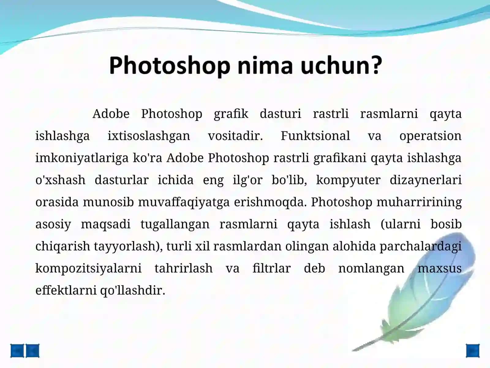 Adobe Photoshop 2