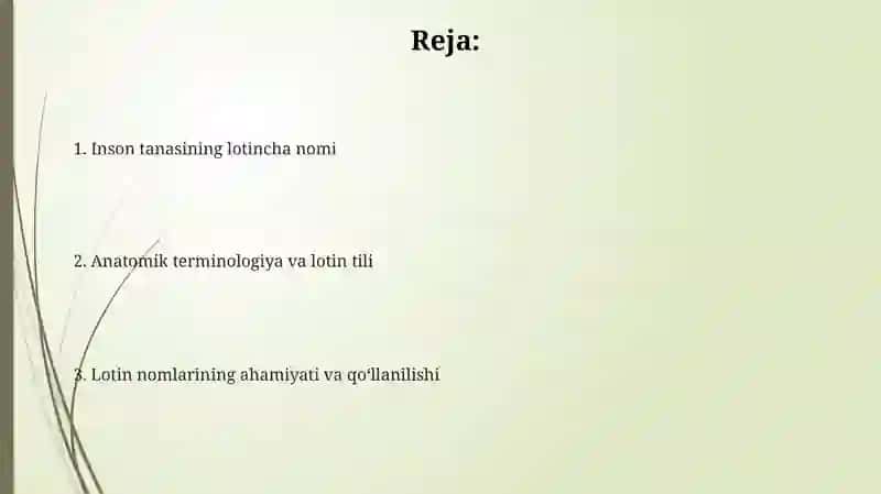 Odam tanasining lotin tilida nomlanishi 2