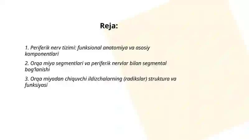 Perferik nerv tizimi funksional anatomiyasi.Orqa miya nervlarining hosil bo’lishi.Orqa miya nervlarining orqa shoxlari. Ko’krak nervlari 2