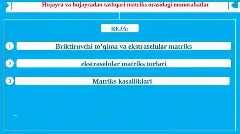 Hujayra  va Hujayradan  tashqi matriks orasidagi munosabatlar 2