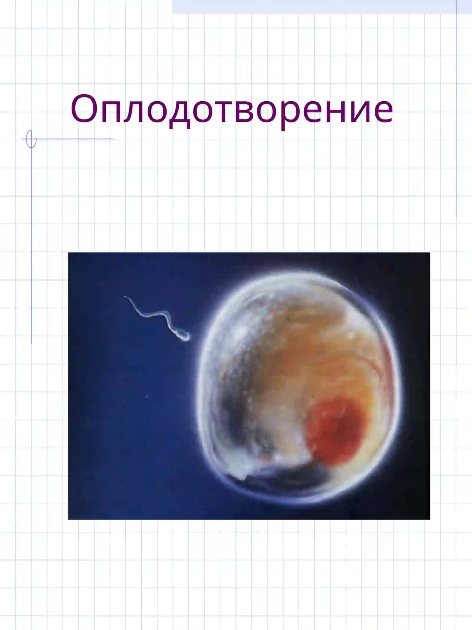 Оказание неотложной помощи новорожденному при родах вне стационара 2