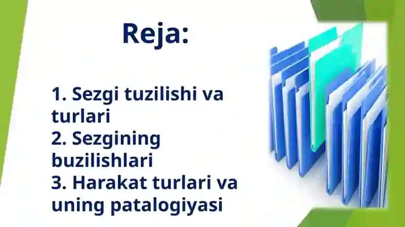 Sezish, harakat qilish va sklet tizimini baholash 2