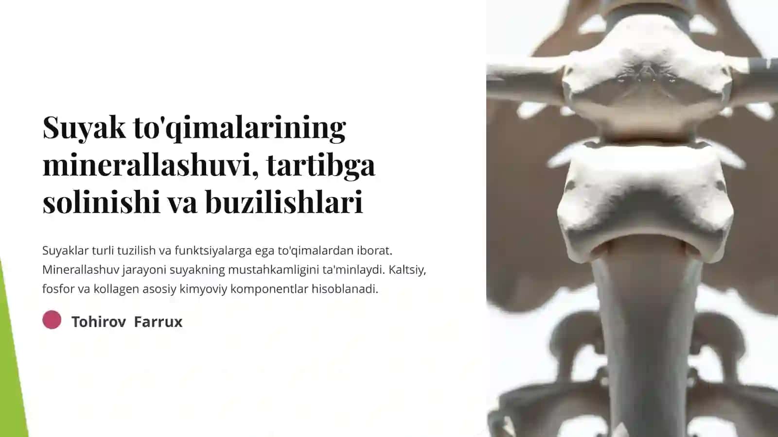 Suyak to'qimalarining minerallashuvi, tartibga solinishi va buzilishlari 2
