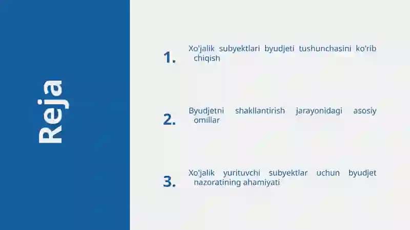 Xo'jalik yurituvchi subyekt byudjeti mohiyati va uni shakllantirish 2
