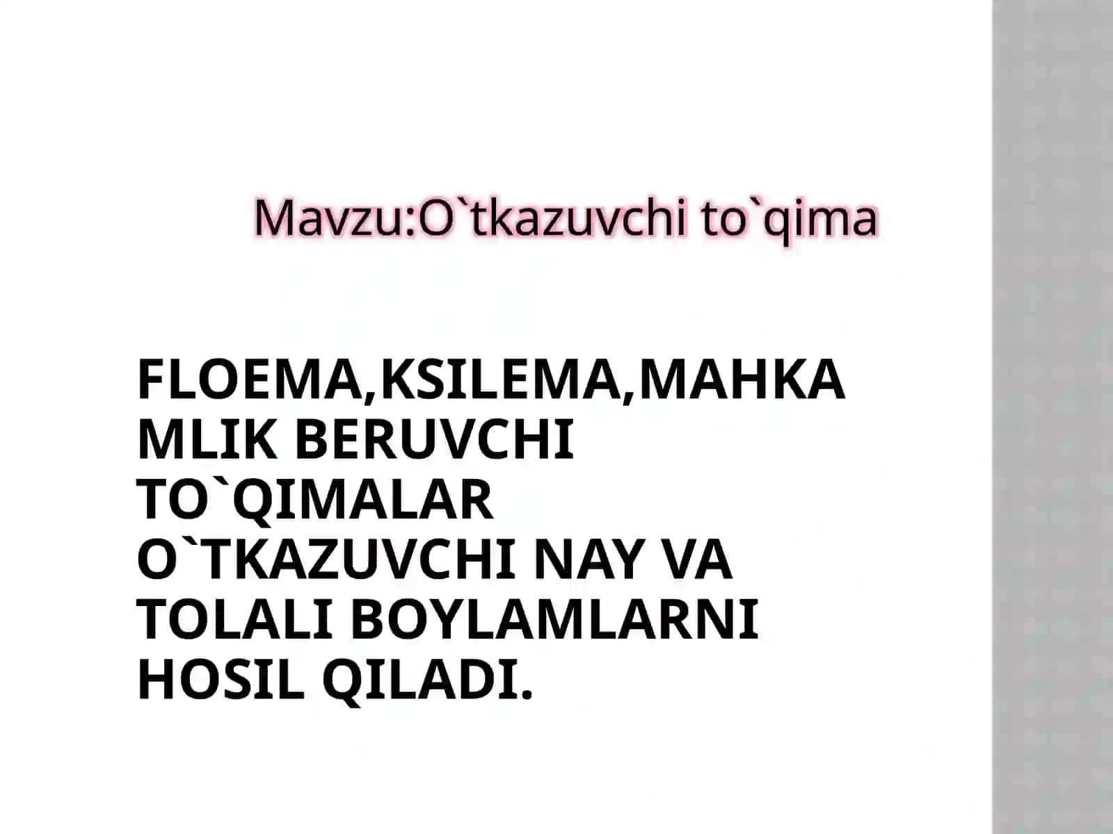 O`simlik anatomiyasi va morfologiyasi fanidan taqdimot 2