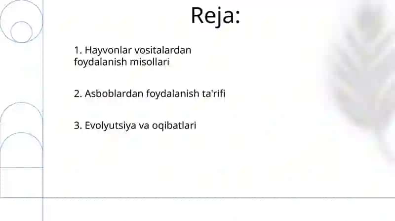 Hayvonlarda mehnat qurollaridan foydalanish 2
