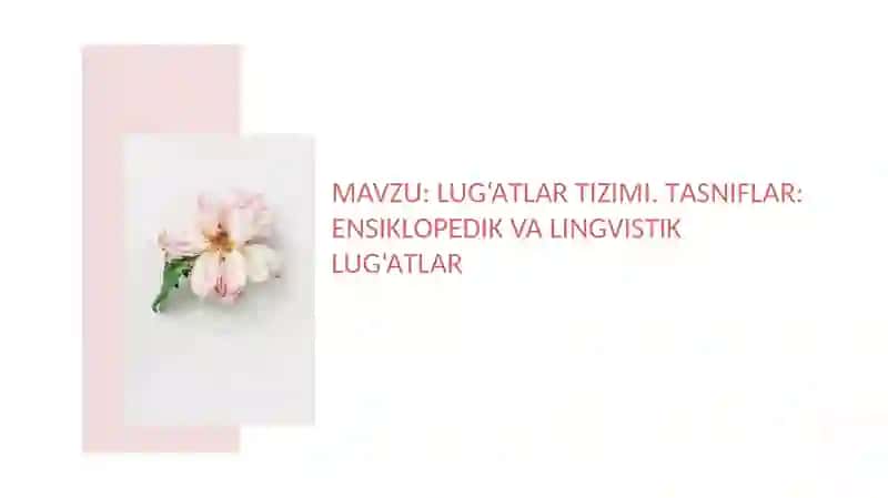 Lug‘atlar tizimi 2