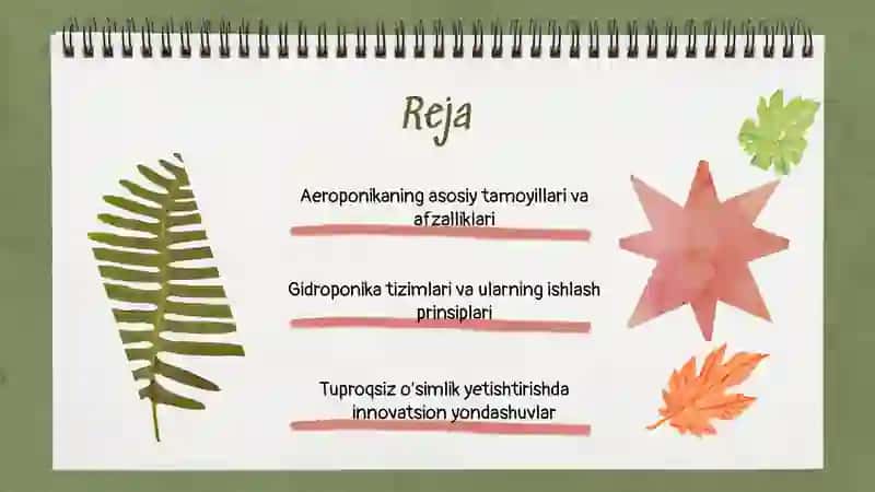 O'simliklarni tuproqsiz o'stirish aeroponika va gidroponika 2