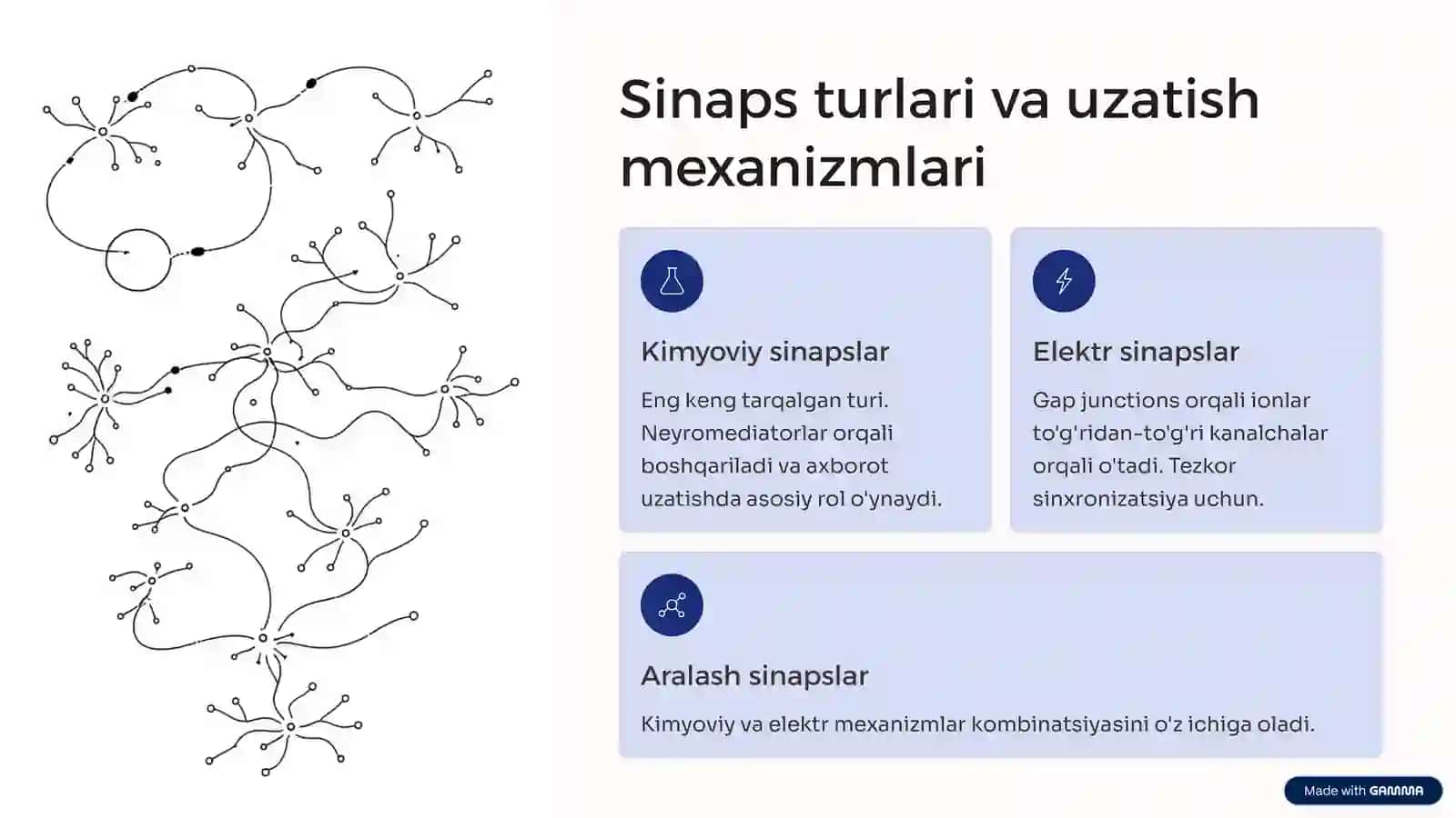 Sinapslar fiziologiyasi: Neyronlararo muloqot asosi 2