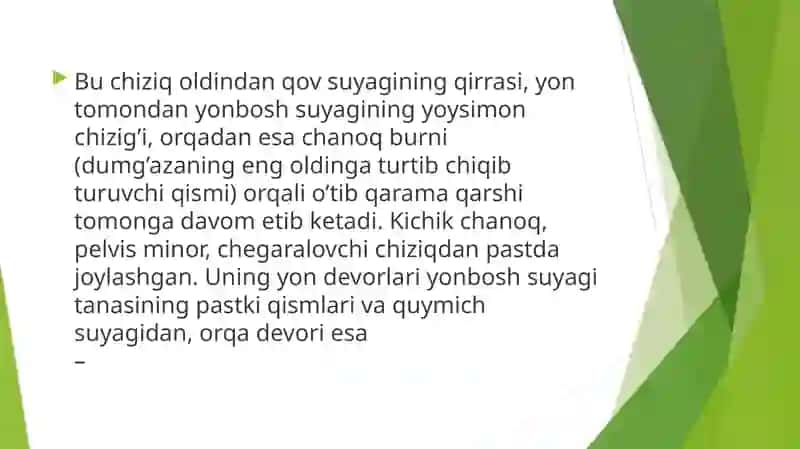 ChanoqKamarisuyaklari:tuzilishivaularningyoshgadoirxususiyatlari 2