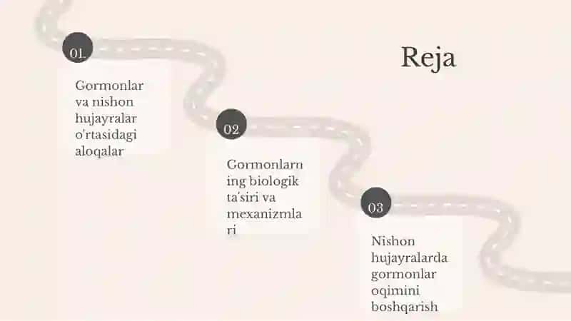 Gormonlarning nishon hujayralarga taʼsir mexanizmi 2