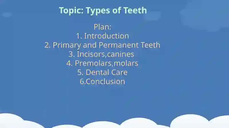 Types of Teeth 2