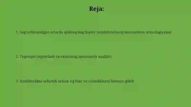 Sug'orilmaydigan erlarda qishloq bug'doyini yetishtirishning innovatsion texnologiyalari 2