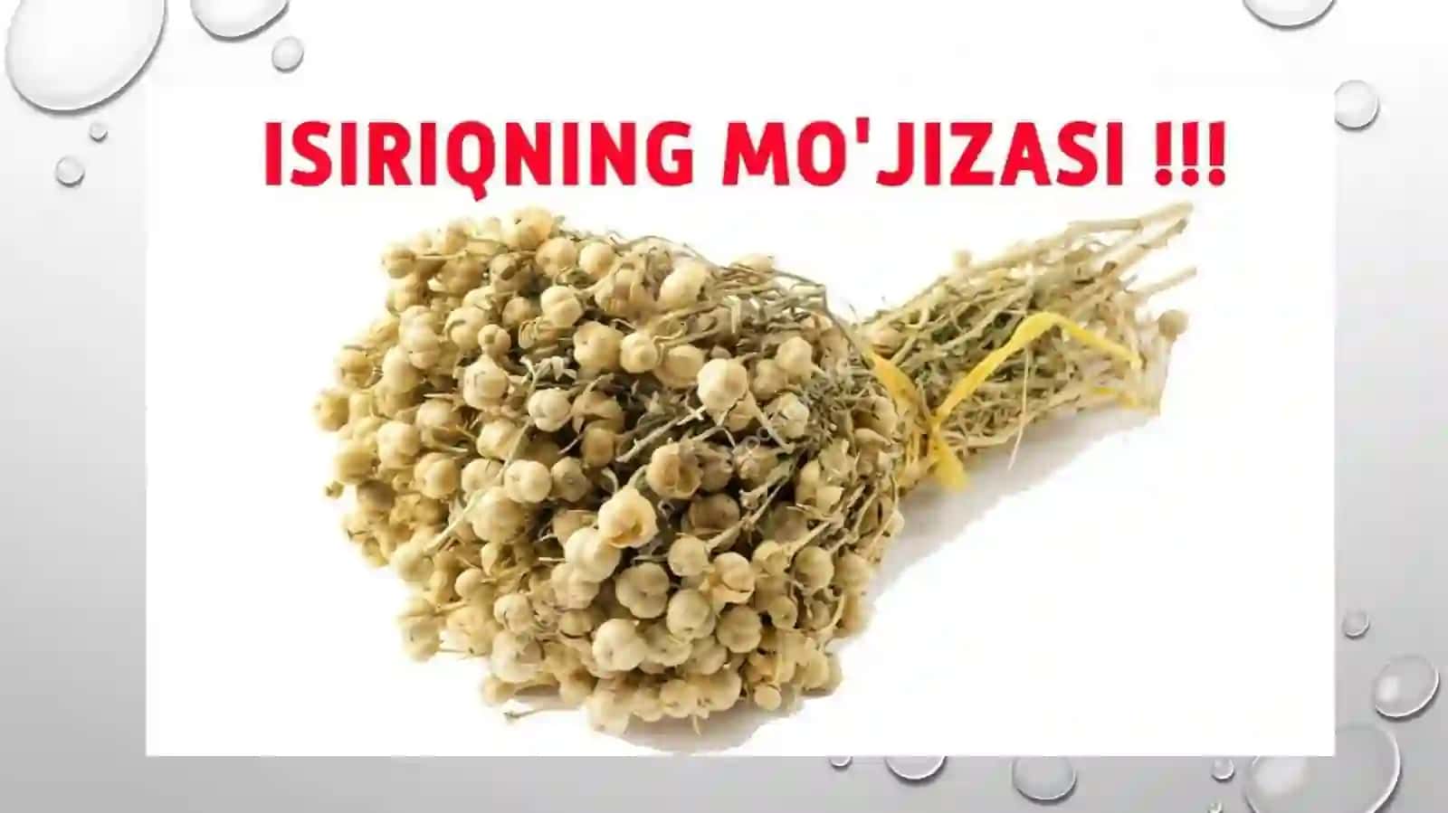 Isiriq 2