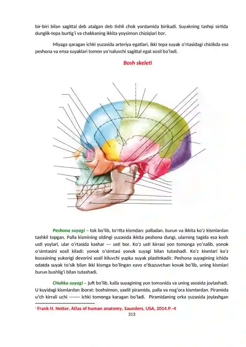 Osteosindesmologiya 2