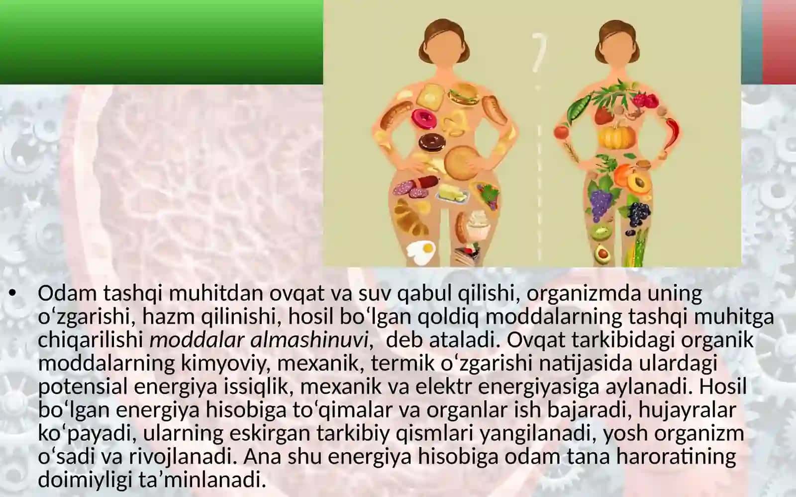 "Moddalar va energiya almashinuvi haqida umumiy tushuncha" 2