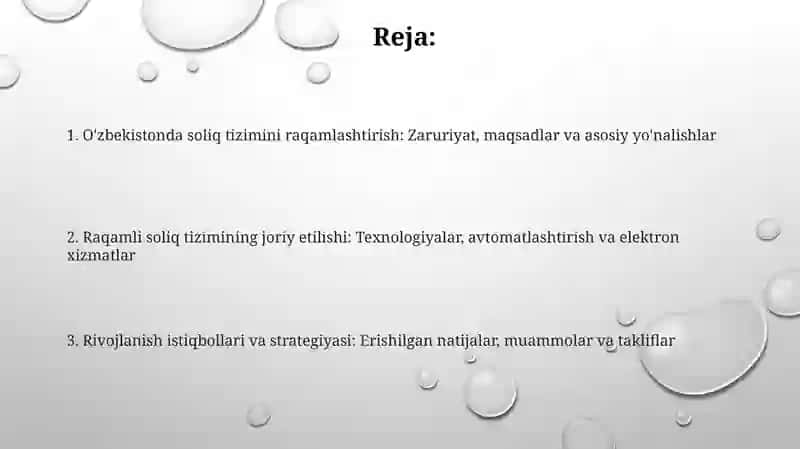 O'zbekistonda soliq tizimini raqamlashtirish 2
