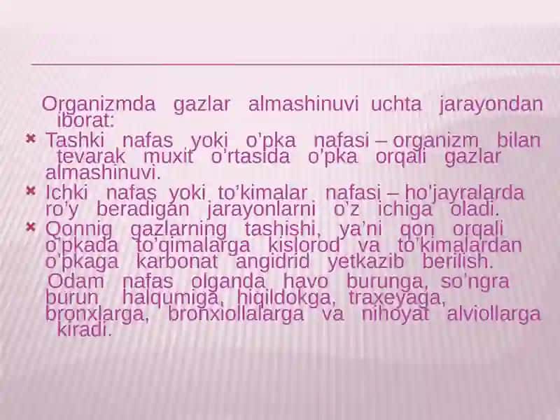 Nafas olish tizimi 2