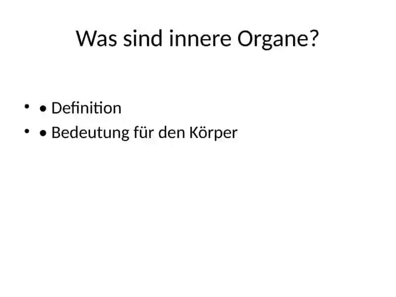 Innere Organe 2