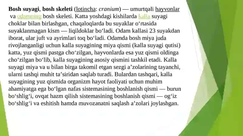 Kallasuyaginirentgenanatomiyasi 2