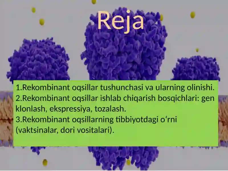 Rekombinantoqsillar 2